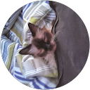 Marcelo Eustáquio Pereira Marcelo Eustáquio Pereira